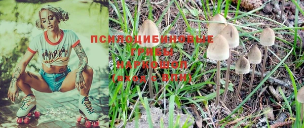 ГАЛЛЮЦИНОГЕННЫЕ ГРИБЫ Алексеевка