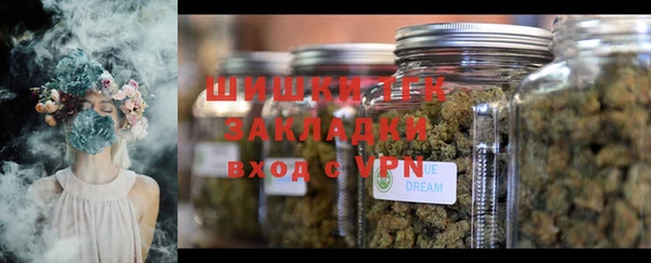 прущие грибы Алексин
