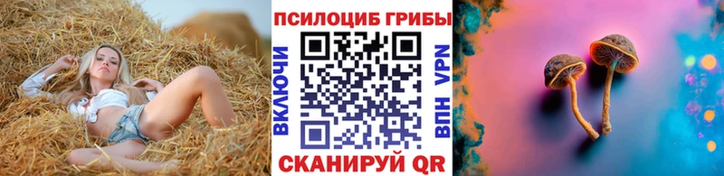 блэк спрут вход  Большой Камень  Псилоцибиновые грибы GOLDEN TEACHER 